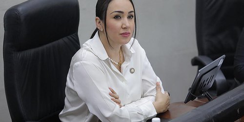 Buscan garantizar a la ciudadanía el acceso a la cultura: Dip. Brisseire Sánchez