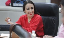 Congreso del Estado avanza en el fortalecimiento de programas y acciones en materia de suicidio: Dip. Brisseire Sánchez