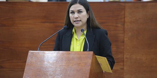 Proponen crear el Registro Público de Personas Agresoras Sexuales del Estado