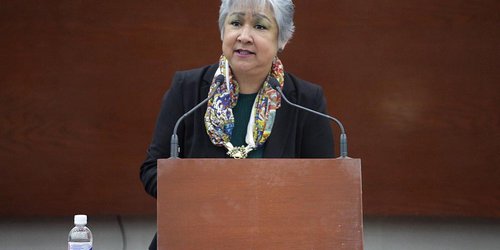 No se expropiarán colegios particulares en la entidad: diputada Consuelo Carmona