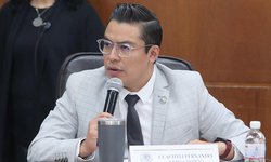 Propone Dip. Cuauhtli Badillo derecho a la consulta de personas con discapacidad