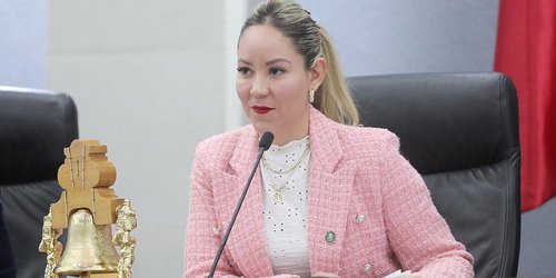 Es efectivo el apoyo a las personas con discapacidad: Dip. Dulcelina Sánchez