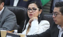 Necesario regular difusión de información falsa sobre seguridad pública