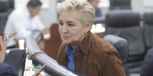 Exhortan a municipios a reforzar campañas contra mosquitos y moscas