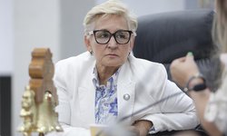 Exhortan a CFE incluir a Municipios Huastecos en tarifa barata IF durante verano