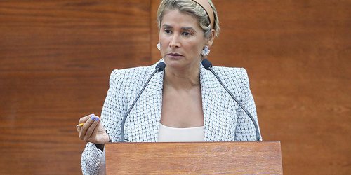 Necesario crear Fiscalía Especializada en Feminicidios: diputada Gabriela Martínez