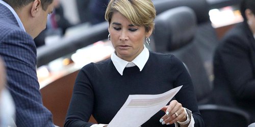 Programa de apoyo a empresas por pandemia, necesario: Dip. Gabriela Martínez Lárraga