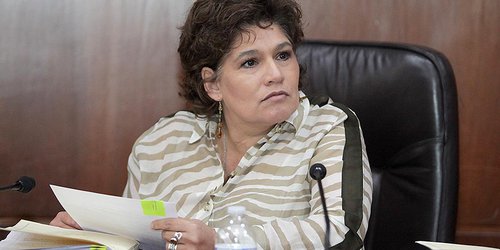 Urge que Insabi comience a dar resultados: Patricia Silva Celis