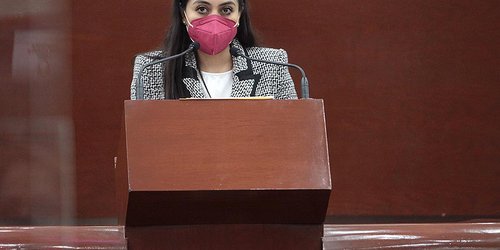 Necesario ampliar las sanciones a personas que abandonen animales domésticos