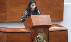 SLP ya cuenta con padrón de deudores alimentarios morosos