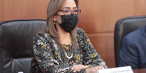 Propone diputada crear nueva Ley Estatal de Turismo