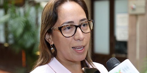 Necesario incentivar inversión al turismo en la Huasteca: diputada Liliana Flores