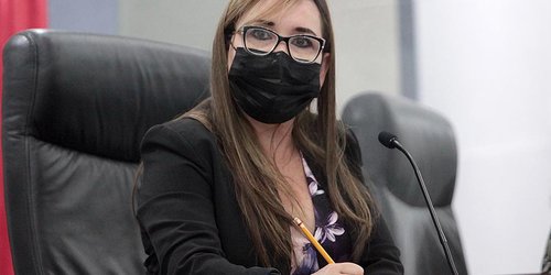 Reforma a Ley de Telecomunicaciones vulnera datos personales: diputada