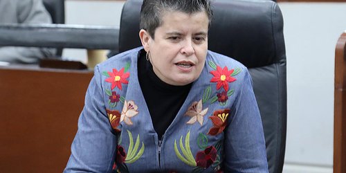 Más capacitación para choferes de transporte público, pide diputada