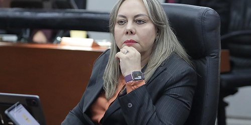 Diputada Sara Rocha, abierta a presidir la Directiva del Congreso
