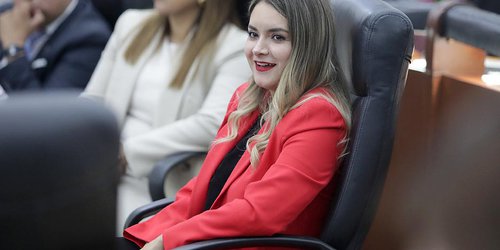 Diputada Robles Chairez presenta informe digital de actividades legislativas