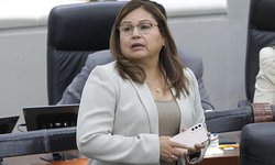 Será delito obstaculizar medidas de protección en casos de violencia contra las mujeres