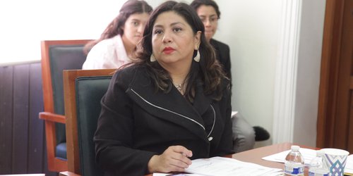 Empresarias son un pilar importante en la economía del país: Dip. Marite Hernández
