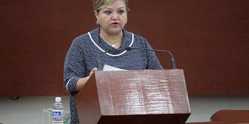 Buscan que en las nuevas construcciones en SLP, se deberá sembrar por lo menos un árbol