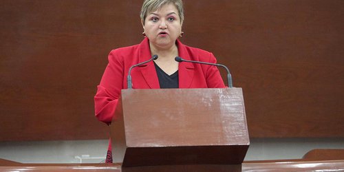 Reformas a Ley Orgánica para eficientizar el trabajo legislativo