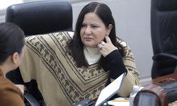 Reforman Ley, y prohíben venta de animales por cualquier medio digital
