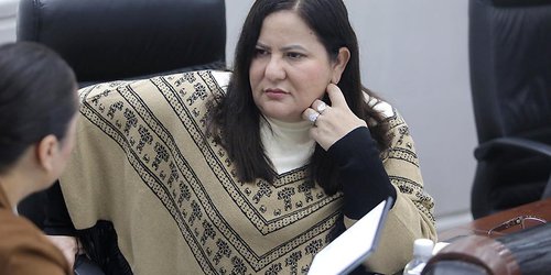 Reforman Ley, y prohíben venta de animales por cualquier medio digital