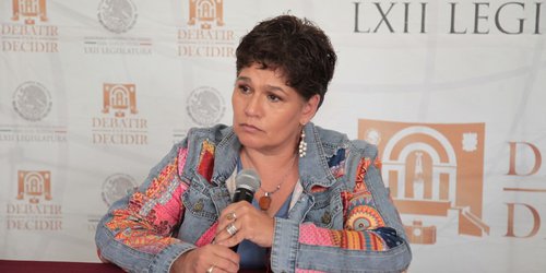 Diputados asesorarán correcta integración de Leyes de Ingresos