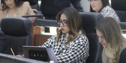Propone Roxanna Hernández incluir acoso escolar en ley de violencia