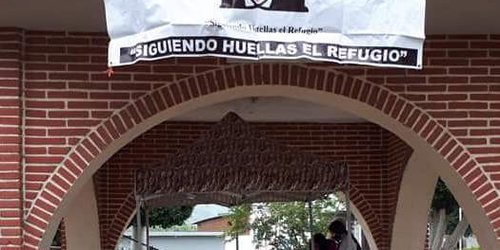 Asociación anuncia subsidio para esterilización de mascotas