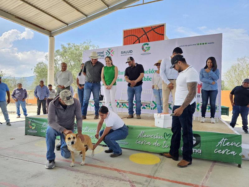 FOTOS DÍA MUNDIAL DEL PERRO 2025 (5).jpeg