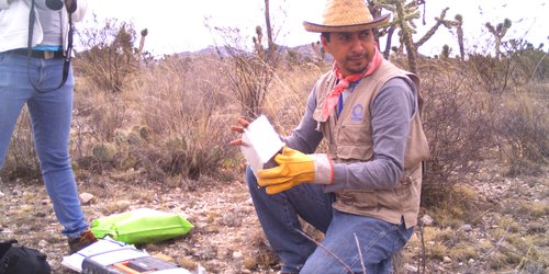 Los murciélagos y su gran importancia para el medio ambiente