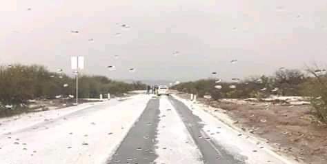 Granizada en carretera Matehuala-Charcas