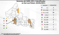 En semáforo amarillo necesitamos retrasar lo más posible la tercera ola: Lutzow Steiner