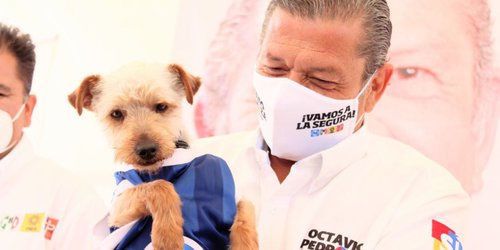 Firma Octavio Pedroza 5 compromisos para combatir el maltrato animal