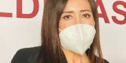 El PAN ni nos ocupa, ni nos preocupa: PVEM