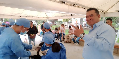 Llaman a esterilizar perros y gatos, para evitar proliferación