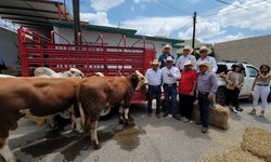 Alcalde Urbiola y el Gobernador Gallardo apoyaron con tres sementales a la Ganadera