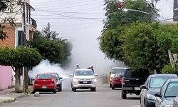 Incrementan acciones de combate al dengue