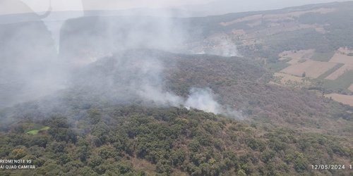Gobierno Estatal atiende incendio forestal en Tamasopo