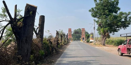 Multan con 1,300 pesos al ejido El Jabalí, por podar ocho árboles sin permiso
