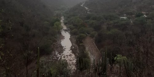 Solo beneficios traen primeras lluvias a Rioverde