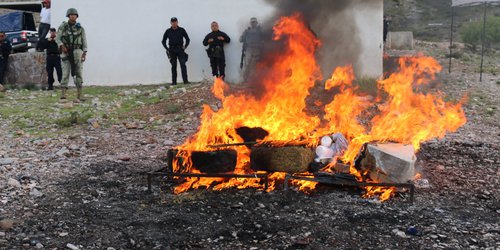 Incinera FGR con SEDENA 50 kilos de narcóticos y destruye objetos de delito en SLP