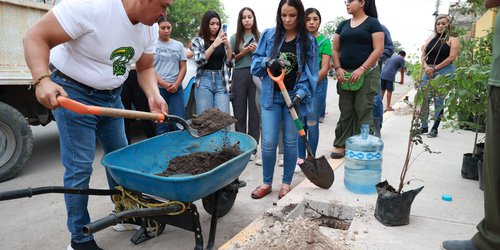 Municipio compromete sembrar 45 mil árboles en la zona urbana de Rioverde