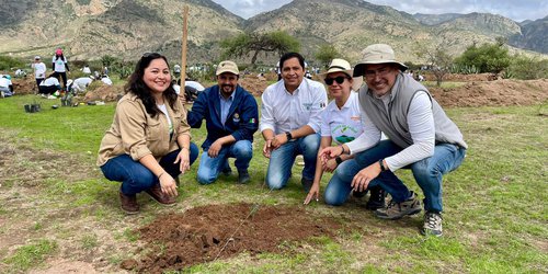 Gobierno Estatal y sector privado reforestan Sierra de San Miguelito