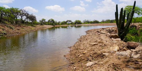 Toma forma proyecto de presa en el ejido La Loma