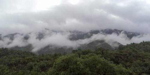 ¿La crisis de la biodiversidad, porque debemos preocuparnos?