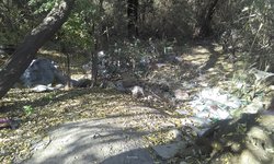 Siguen tirando basura en baldíos en avenida Insurgentes