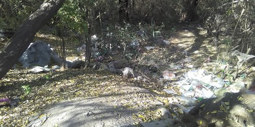 Siguen tirando basura en baldíos en avenida Insurgentes