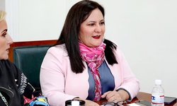 Guarderías, hoteles y spas de mascotas deben cumplir estándares de bienestar animal
