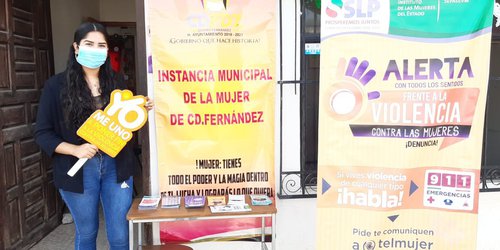 Lanzan convocatoria para elegir a la Mujer Fernandense Distinguida